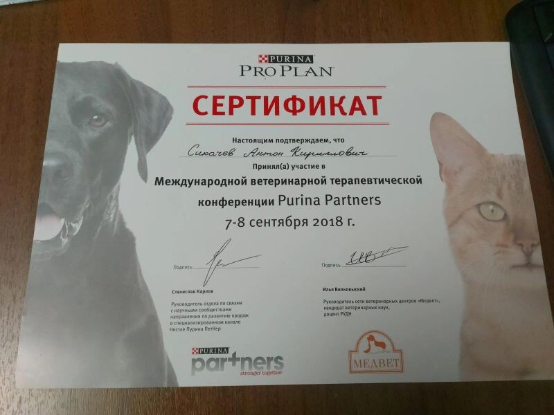 Документ или сертификат