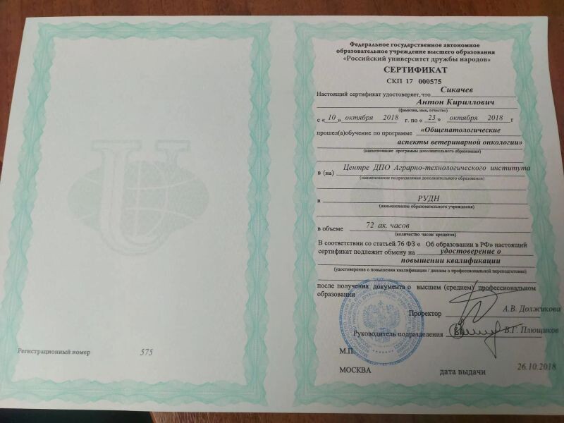 Документ или сертификат