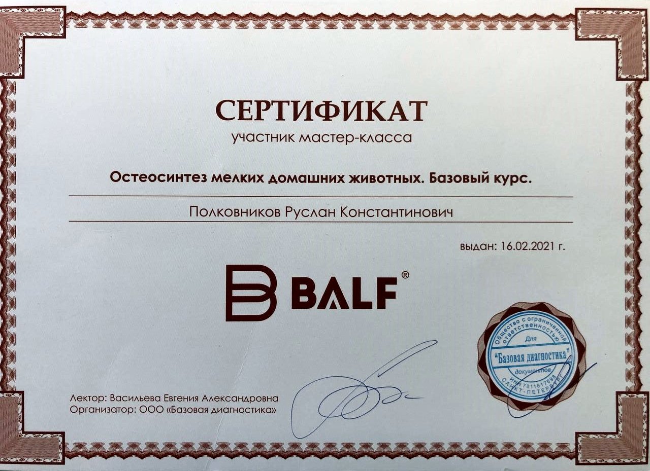 Документ или сертификат