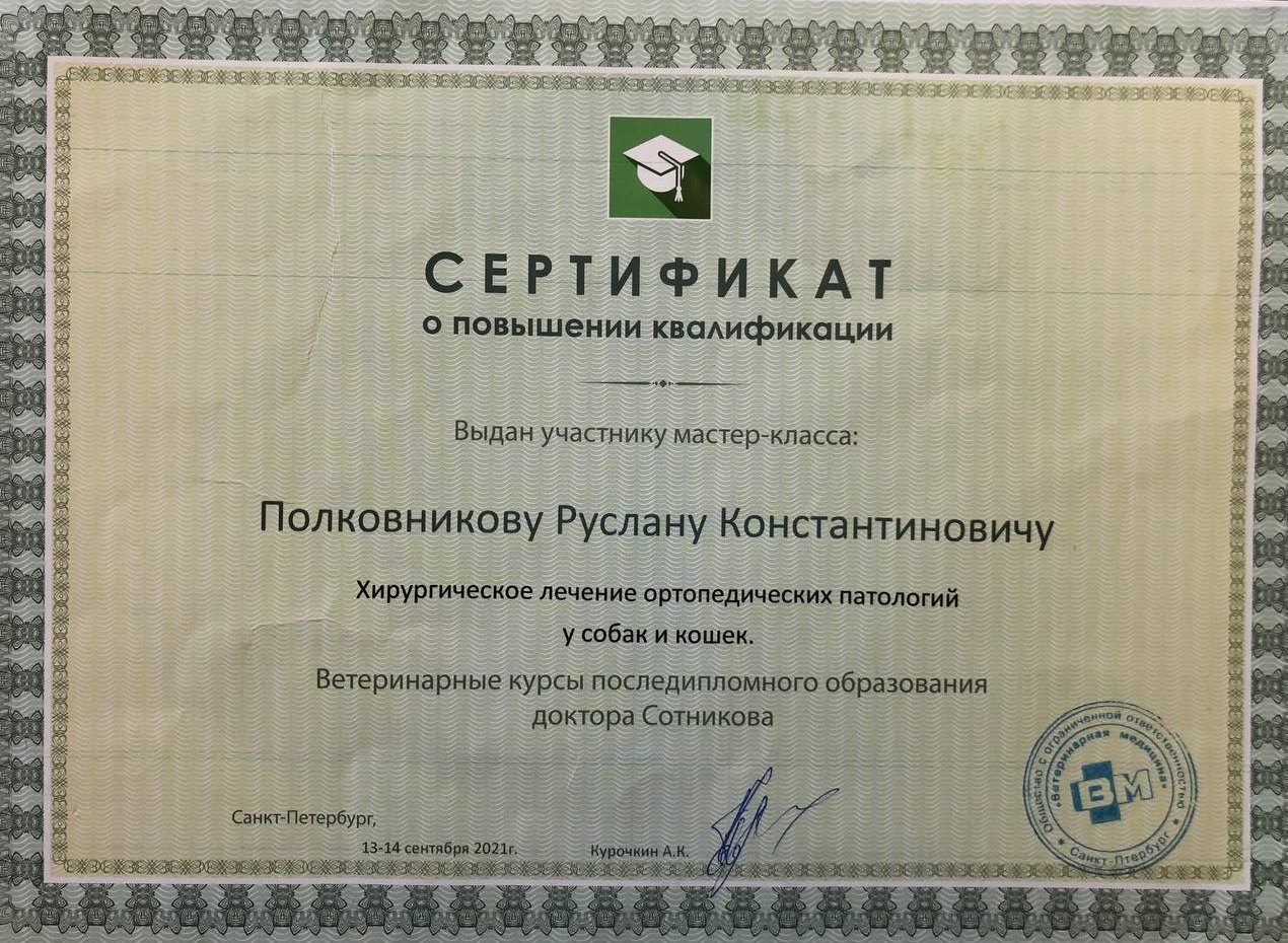 Документ или сертификат