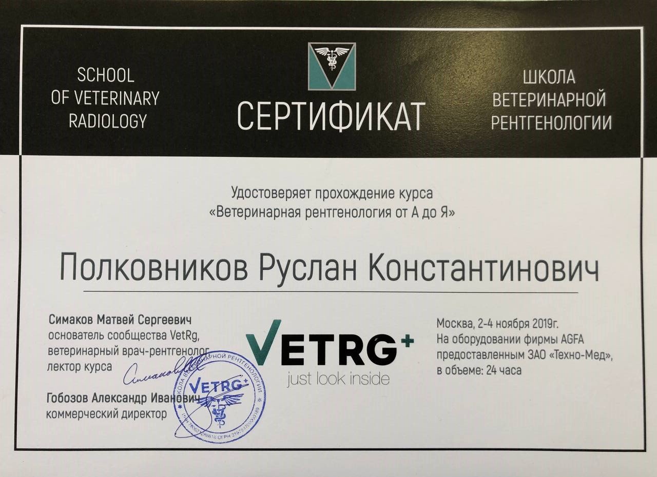 Документ или сертификат