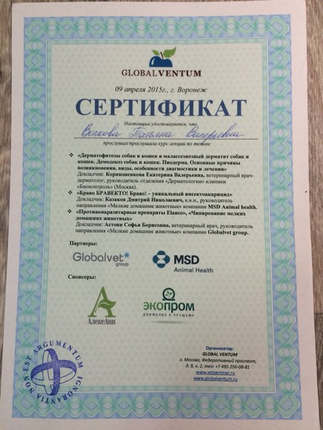 Документ или сертификат