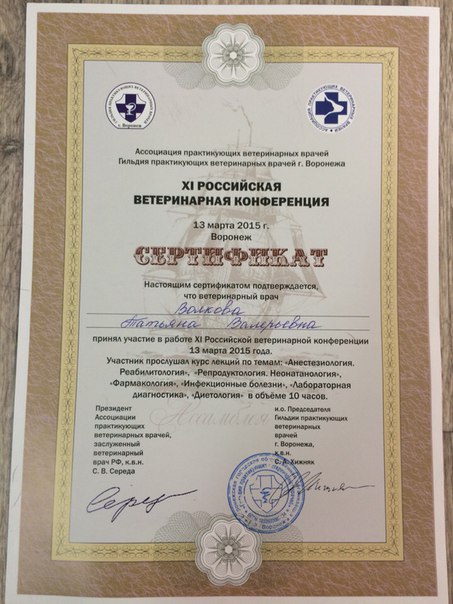 Документ или сертификат