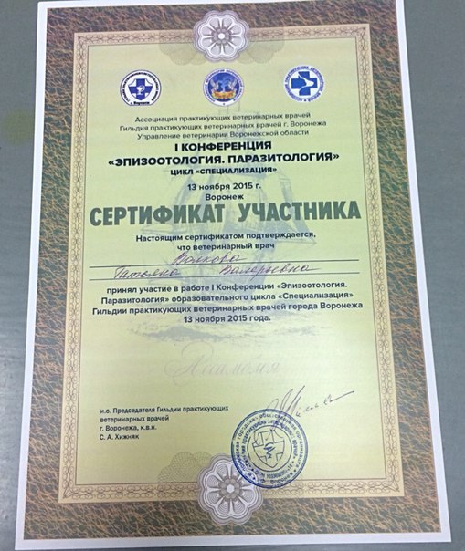 Документ или сертификат