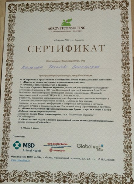 Документ или сертификат