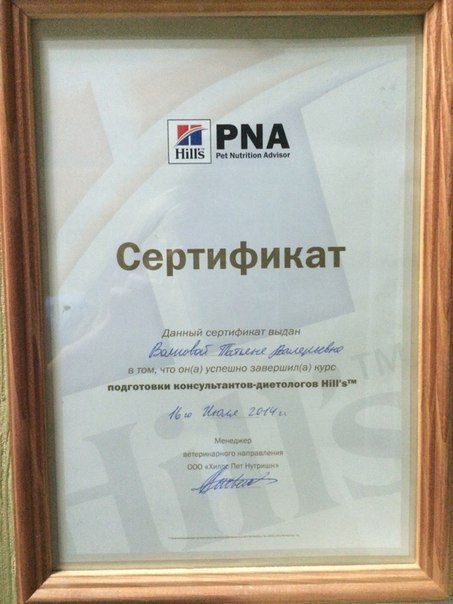 Документ или сертификат