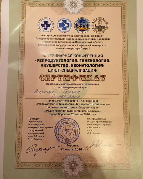 Документ или сертификат