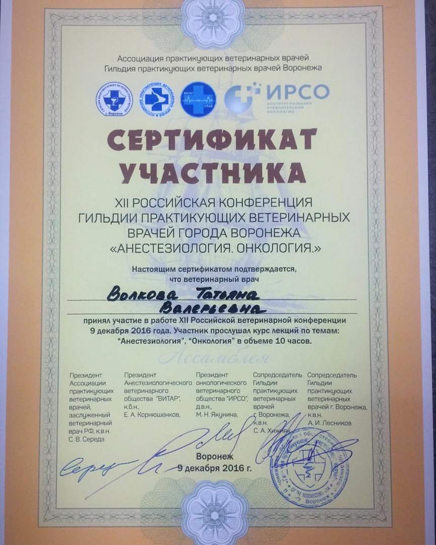 Документ или сертификат