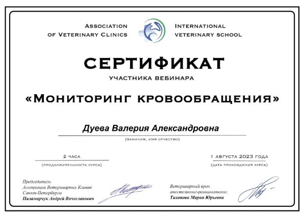 Документ или сертификат