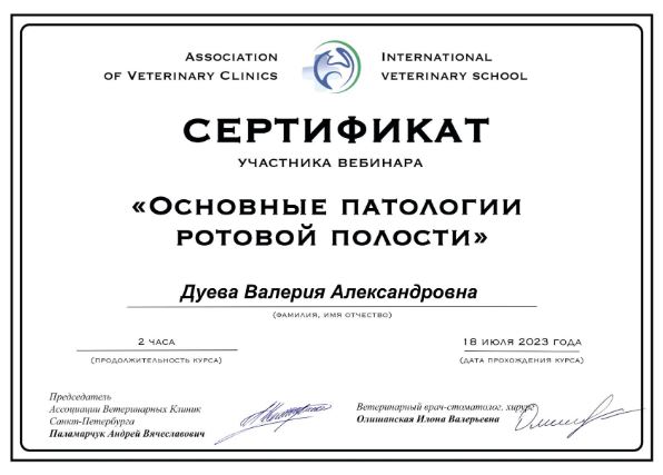 Документ или сертификат