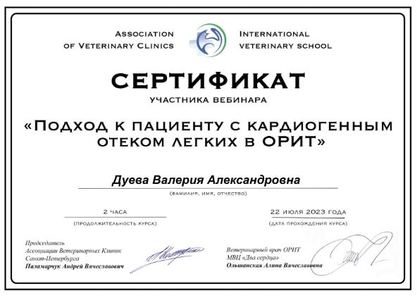 Документ или сертификат