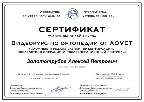 Документ или сертификат