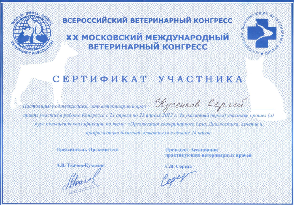Документ или сертификат