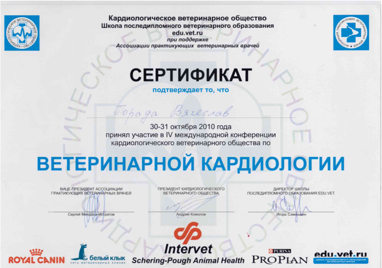 Документ или сертификат