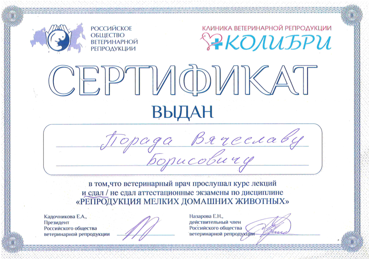 Документ или сертификат