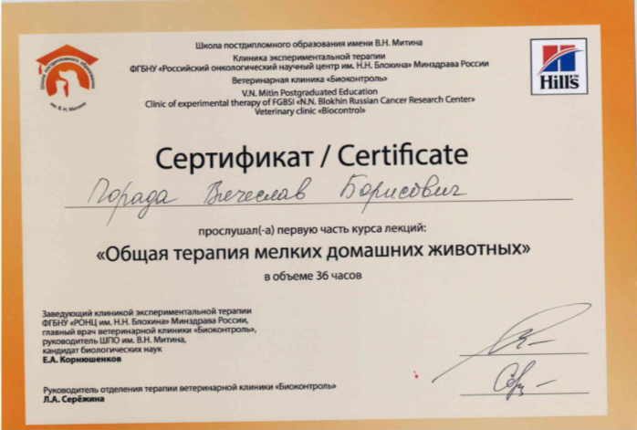 Документ или сертификат