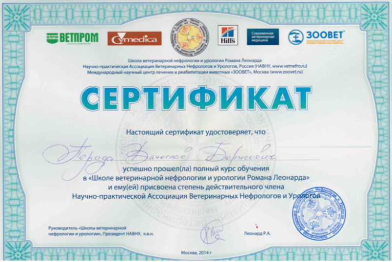 Документ или сертификат