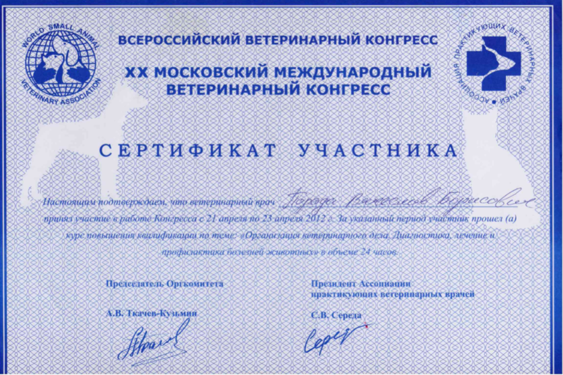 Документ или сертификат