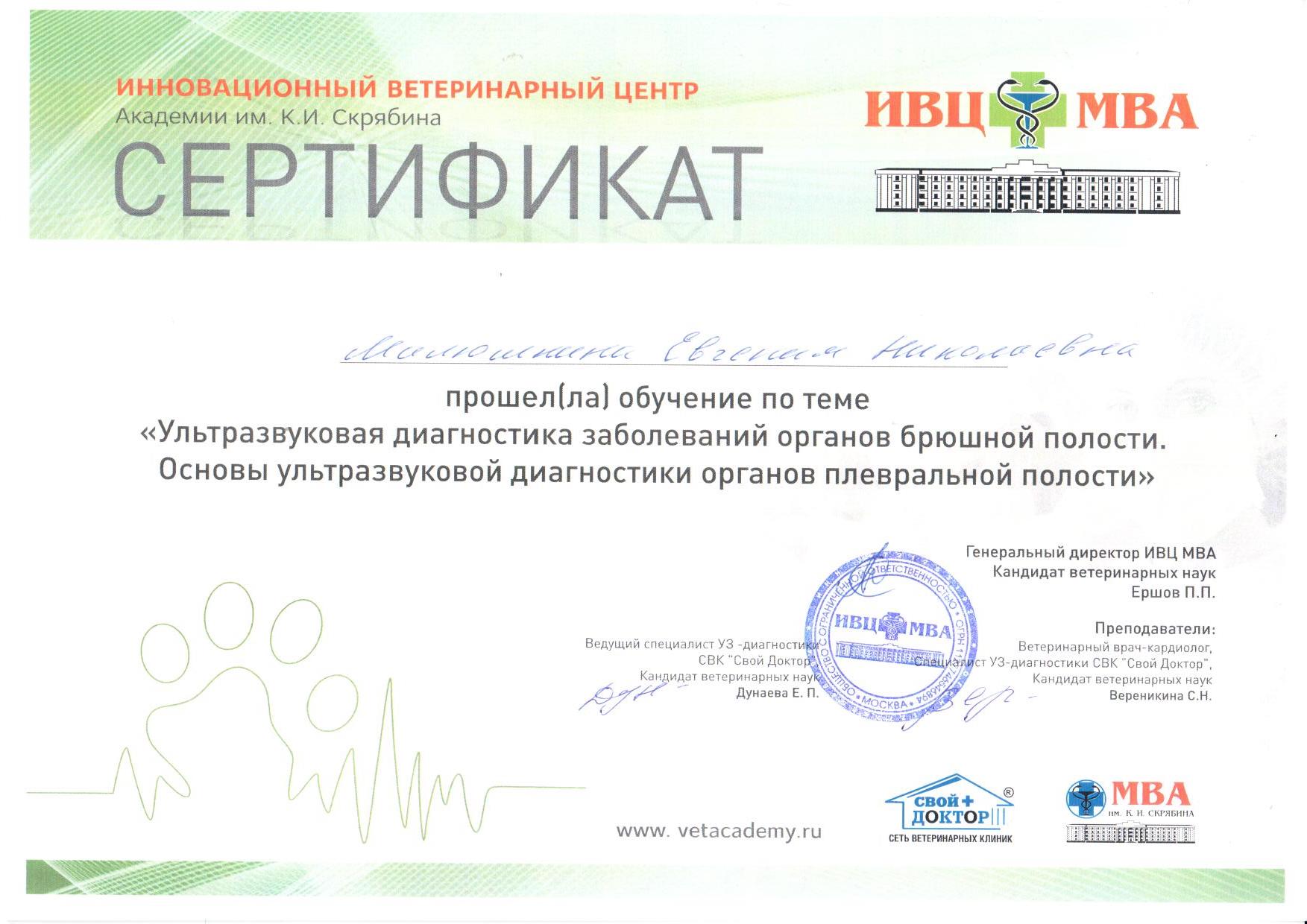 Документ или сертификат
