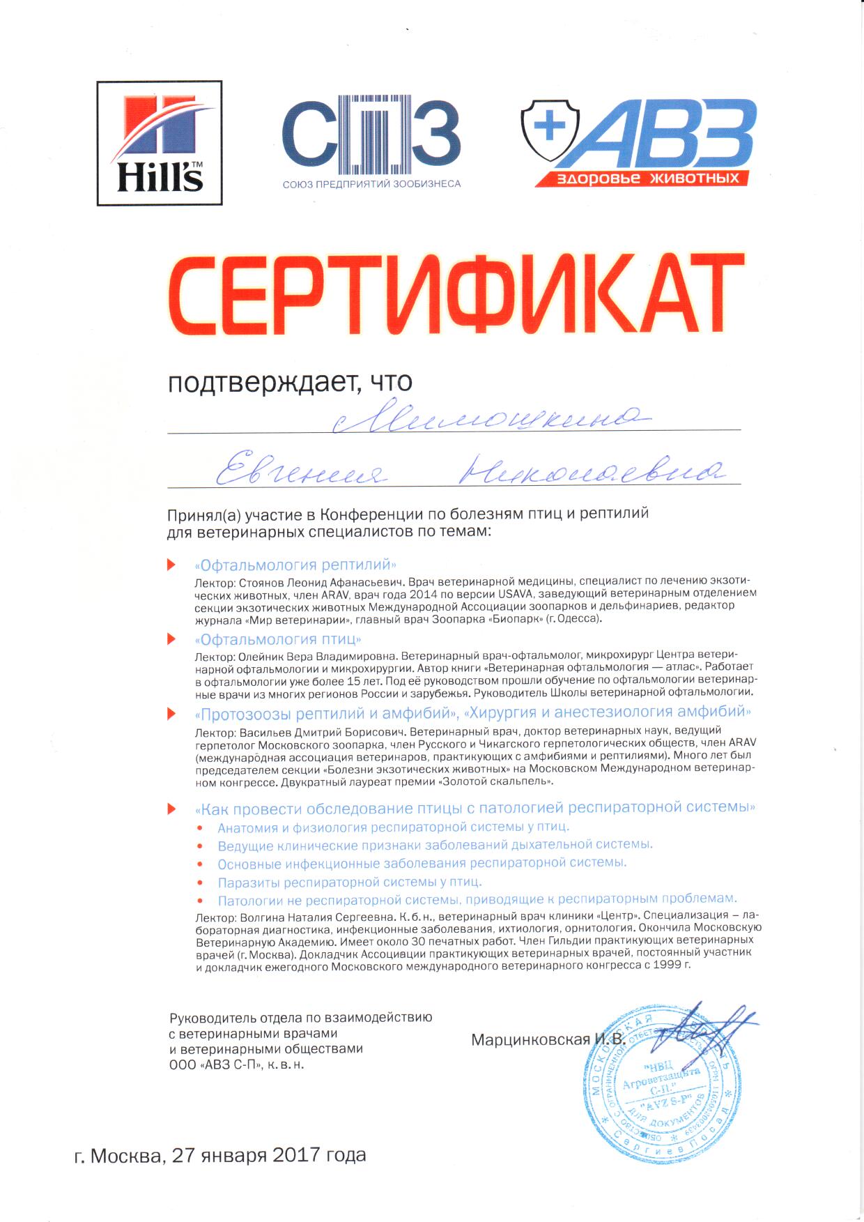 Документ или сертификат