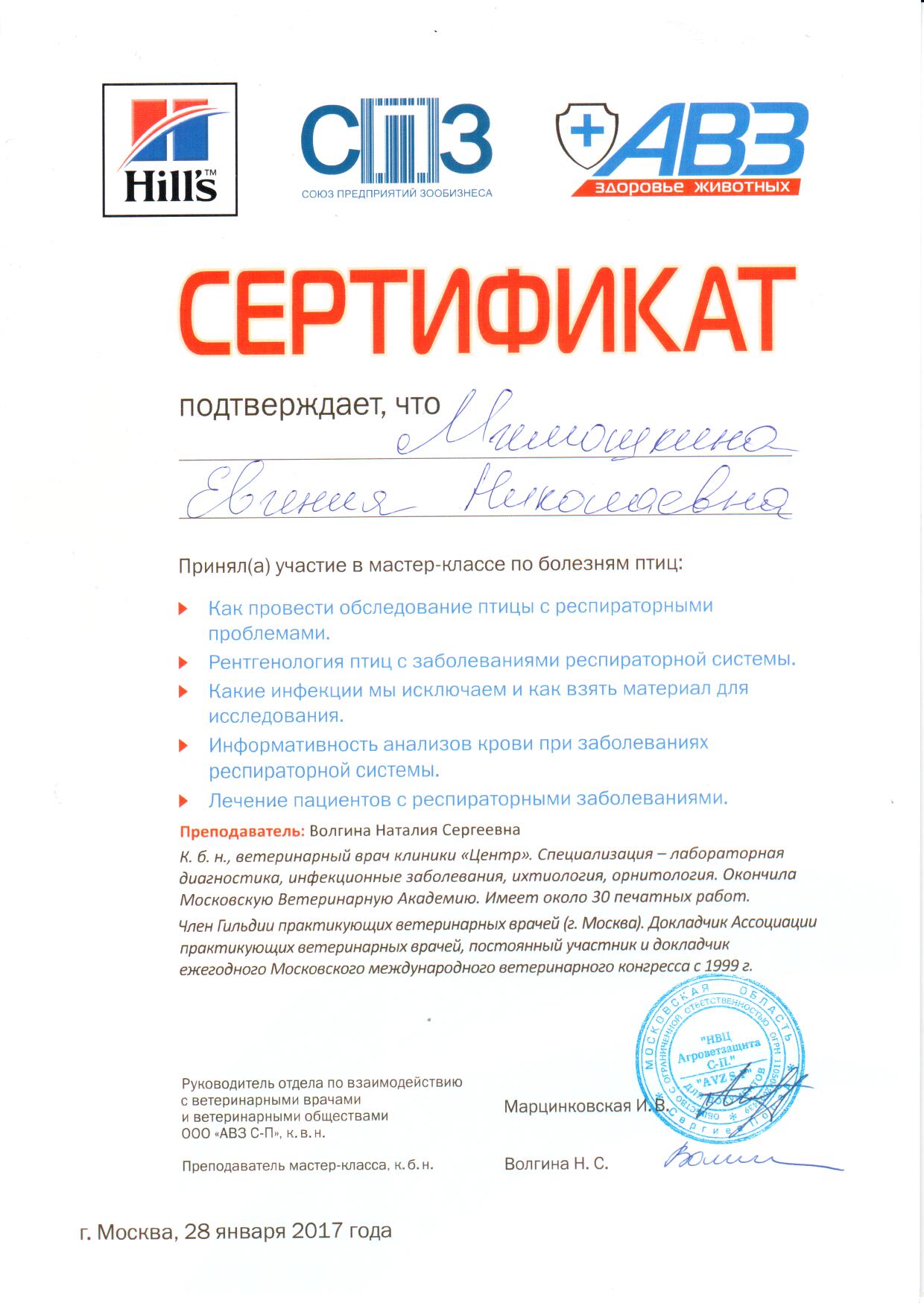 Документ или сертификат