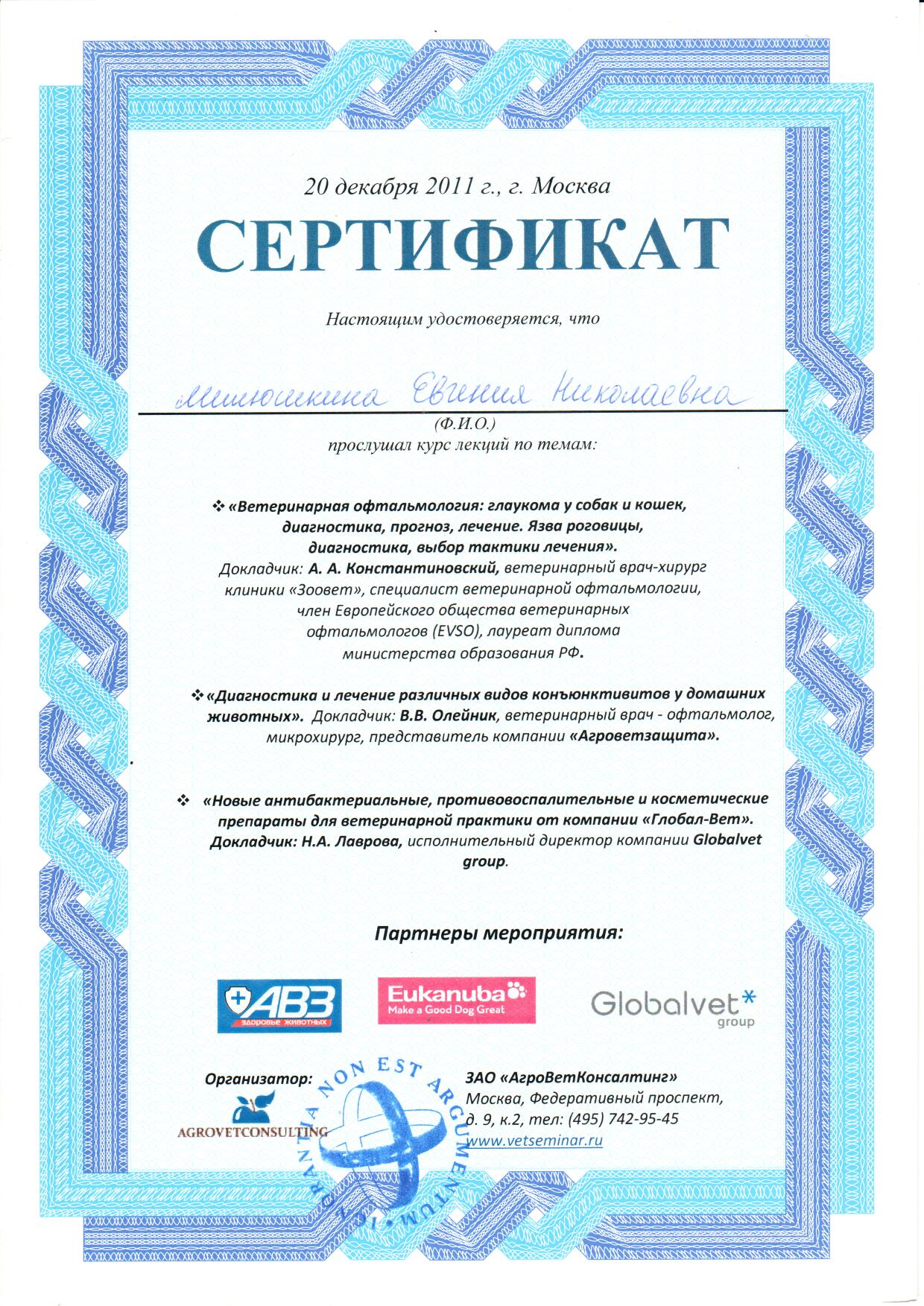 Документ или сертификат