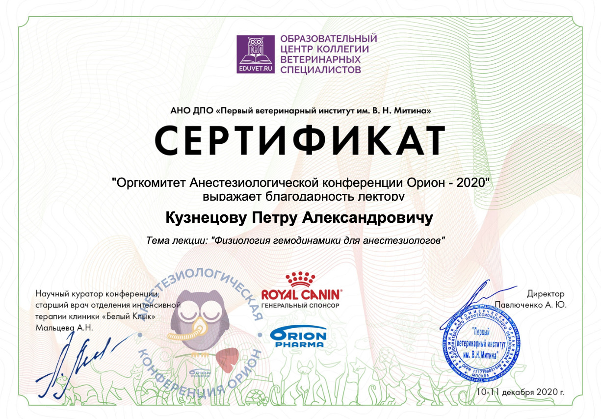 Документ или сертификат