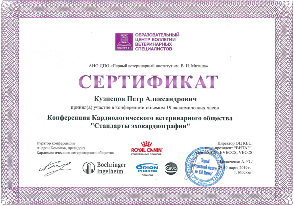 Документ или сертификат