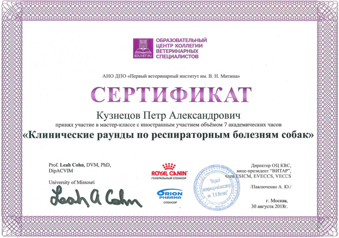 Документ или сертификат