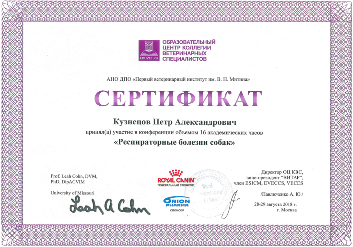 Документ или сертификат