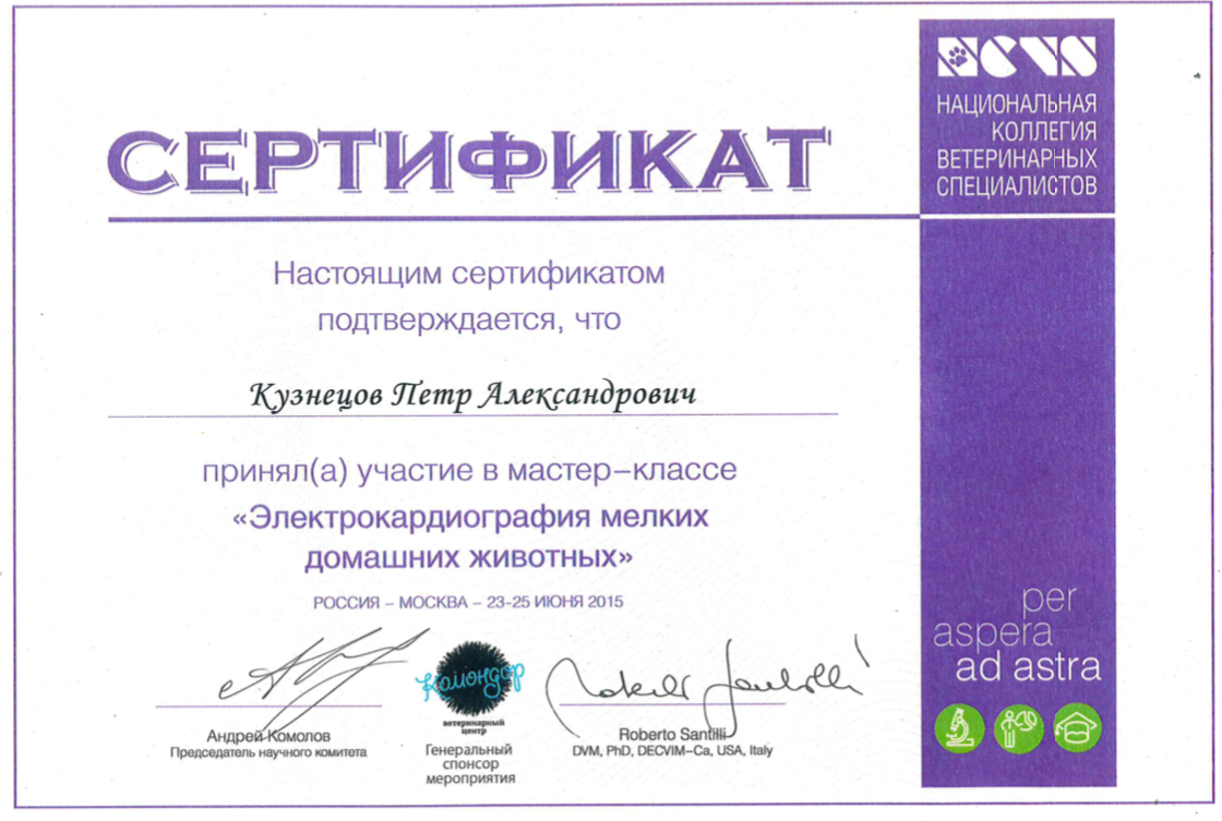Документ или сертификат