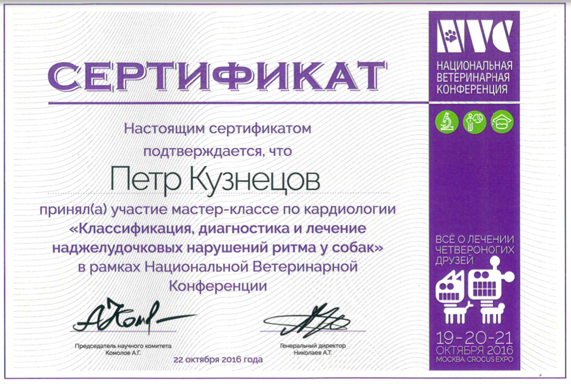 Документ или сертификат