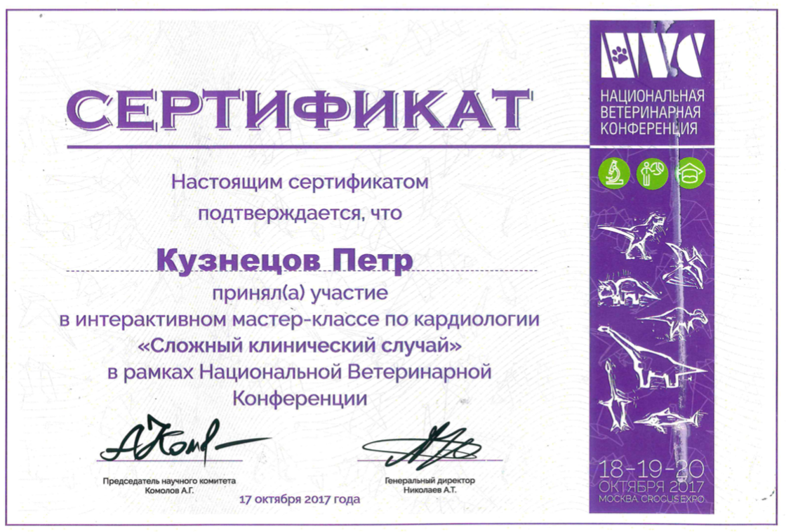 Документ или сертификат
