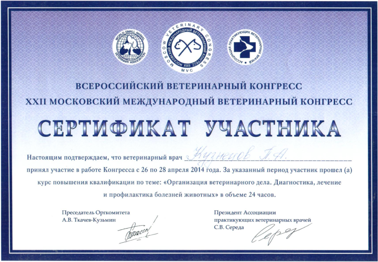 Документ или сертификат