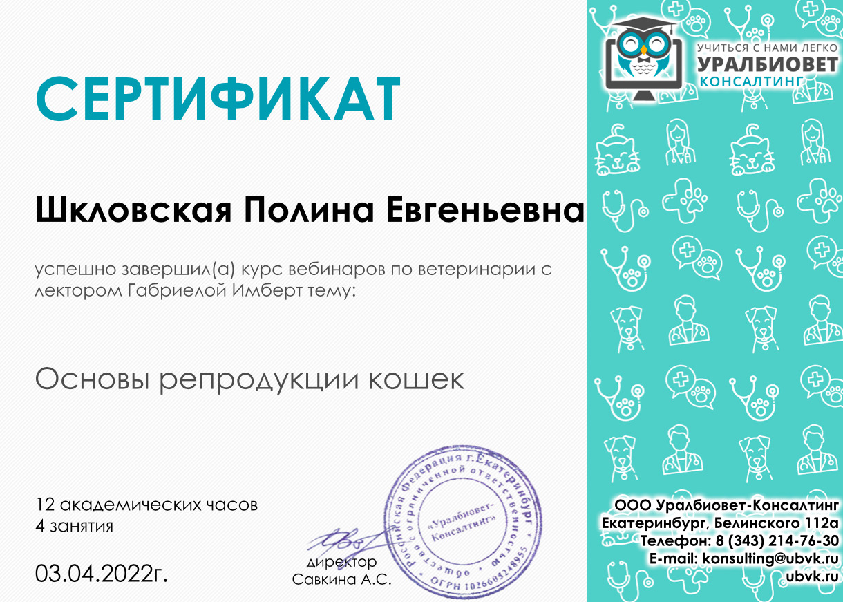 Документ или сертификат
