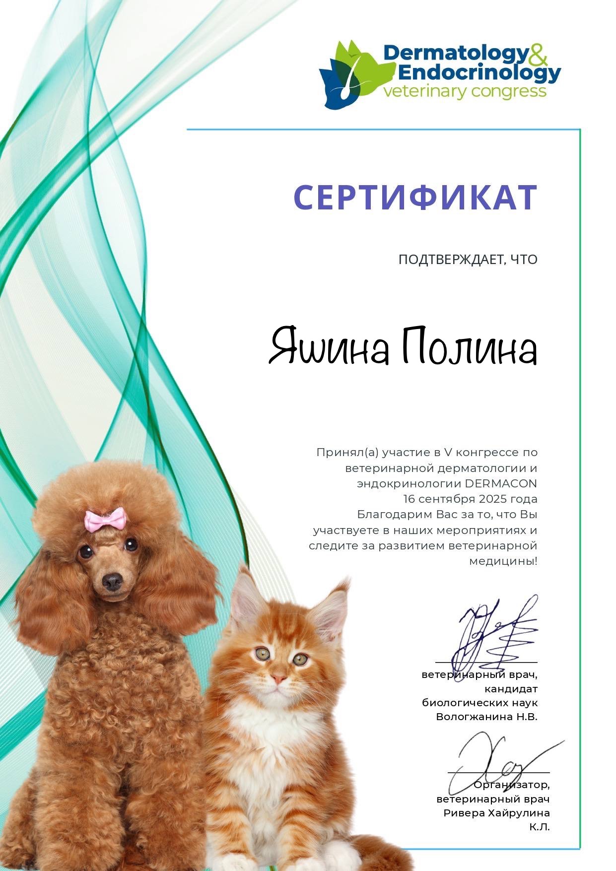 Документ или сертификат