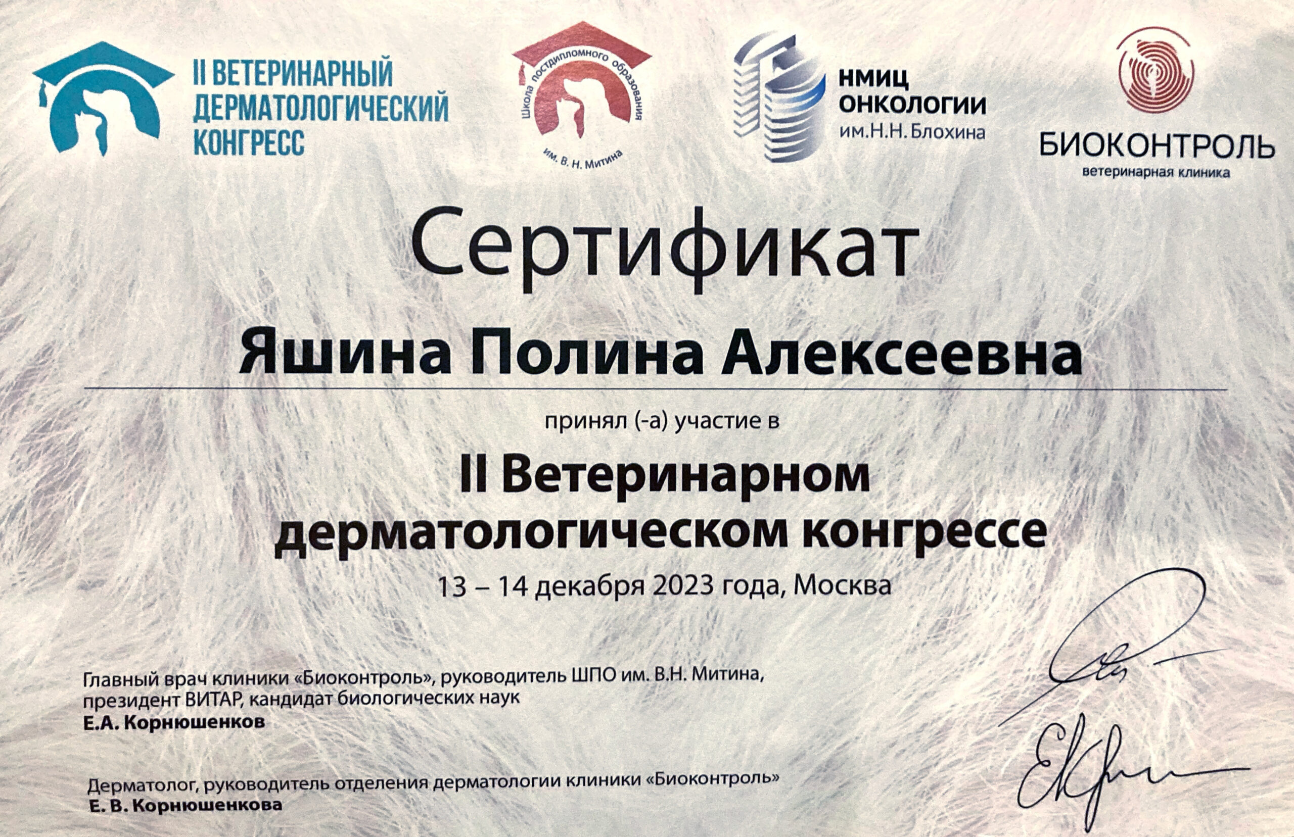 Документ или сертификат