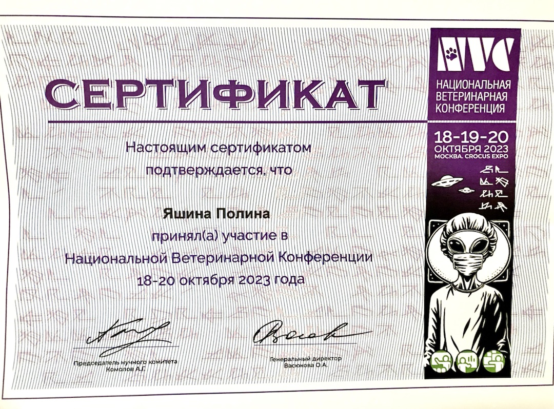 Документ или сертификат