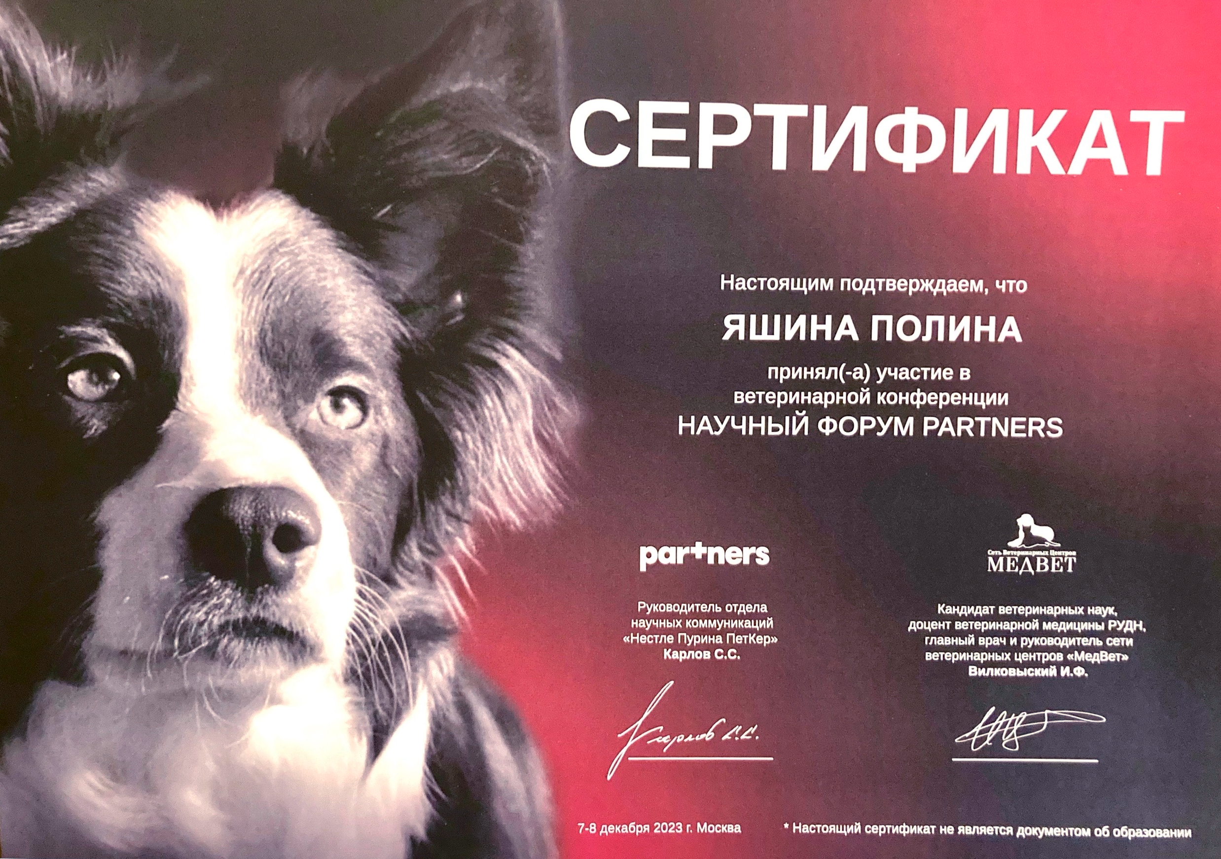Документ или сертификат