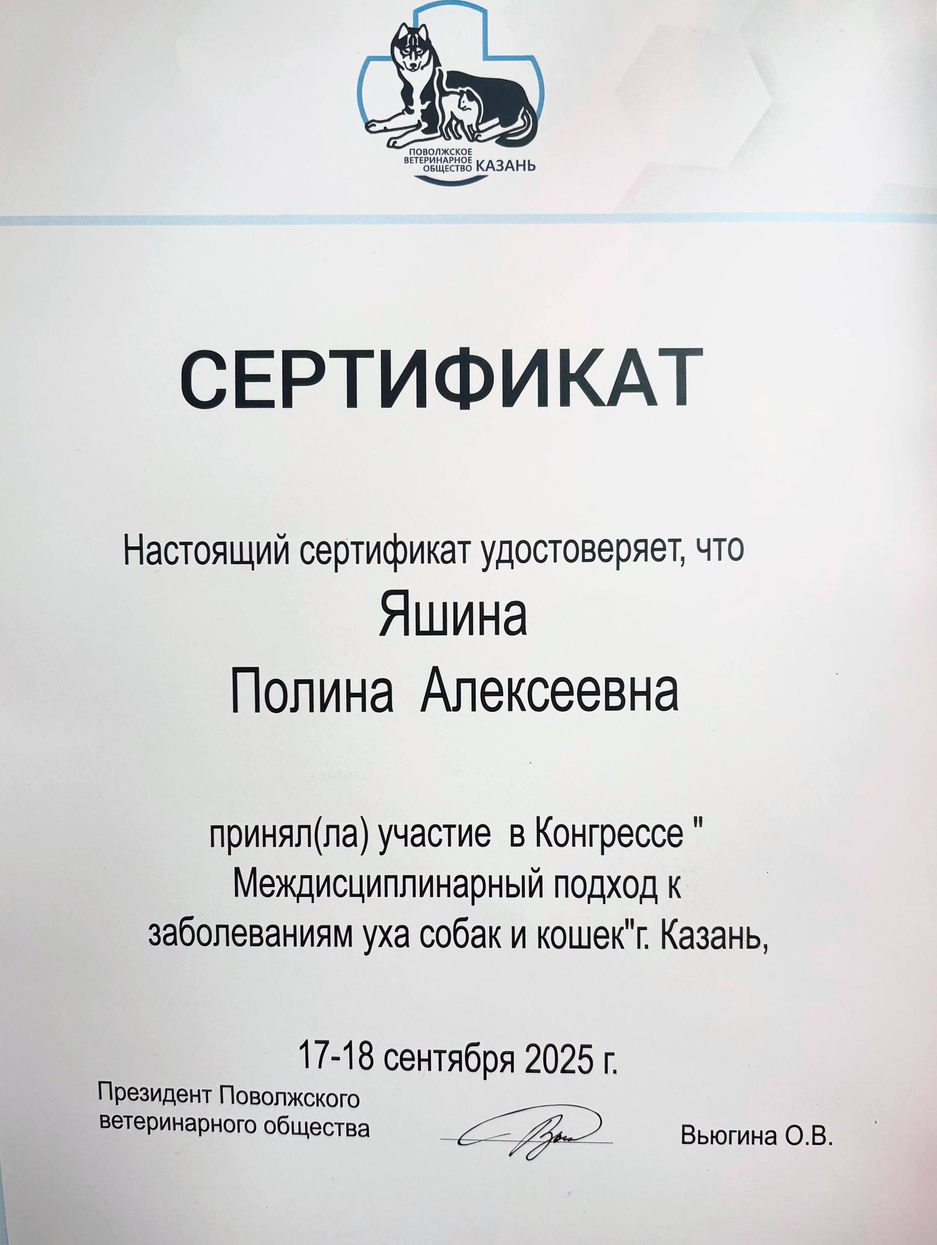 Документ или сертификат