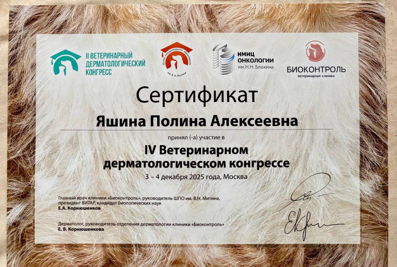 Документ или сертификат