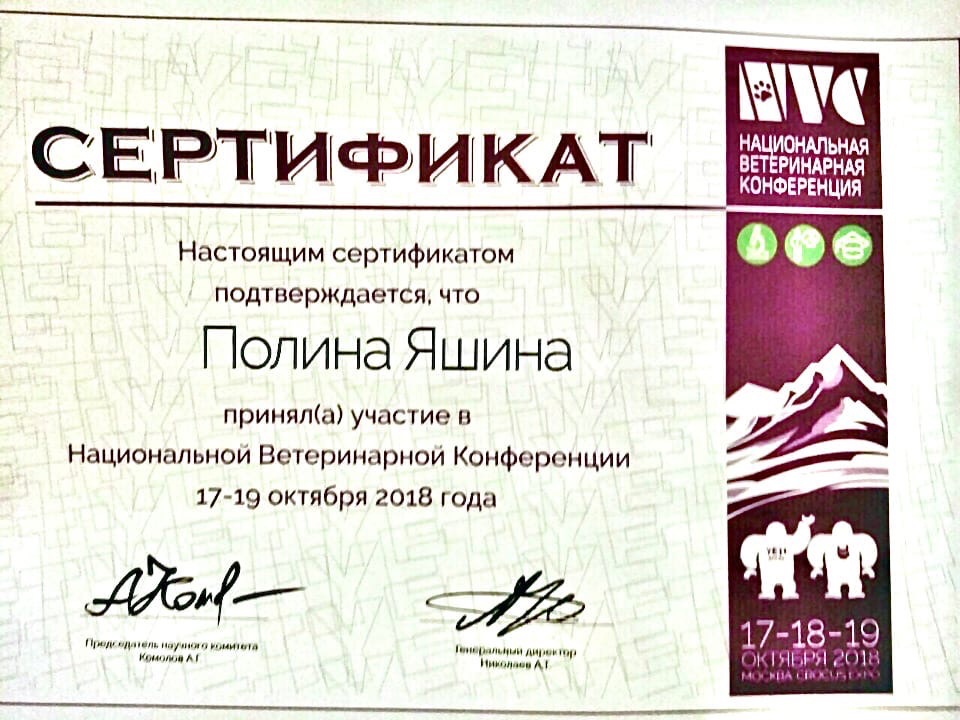 Документ или сертификат