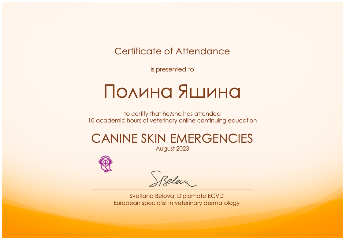 Документ или сертификат