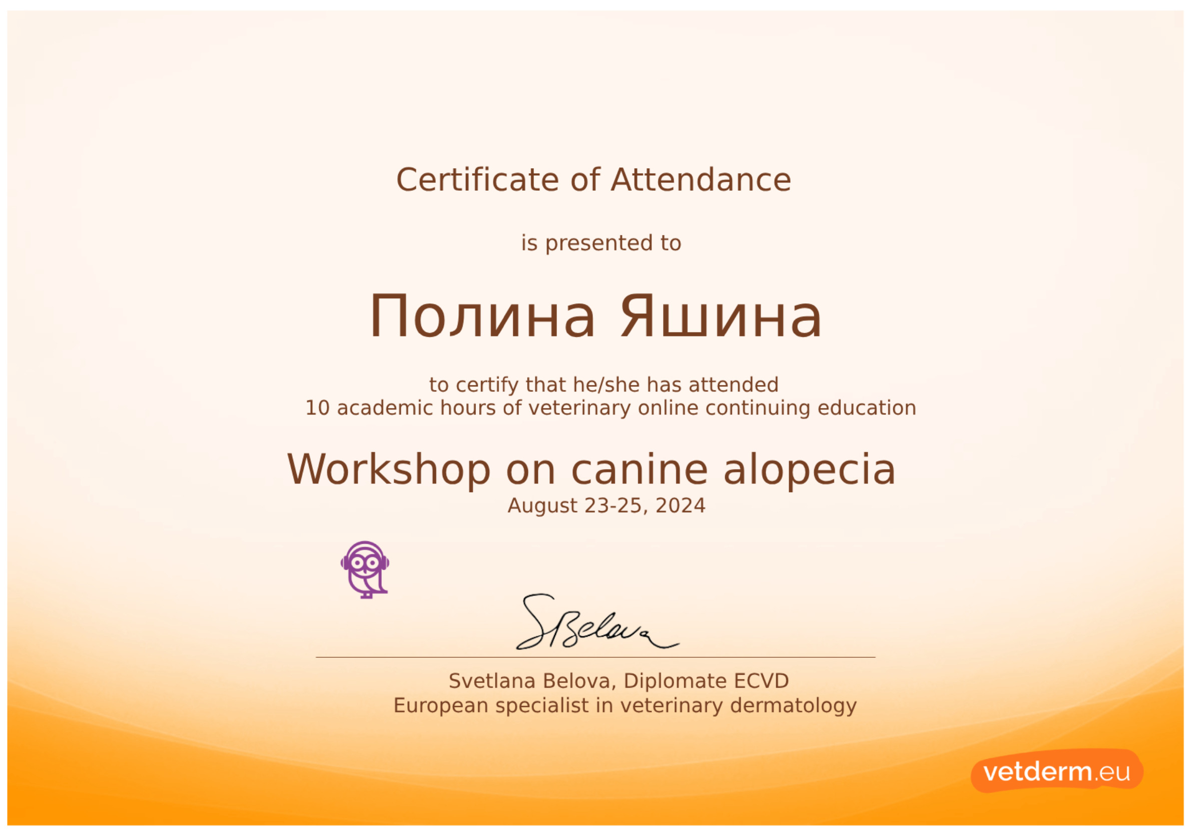 Документ или сертификат