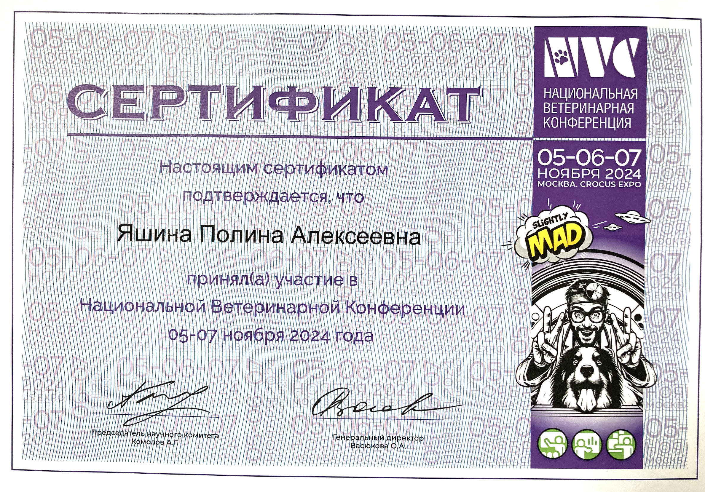 Документ или сертификат