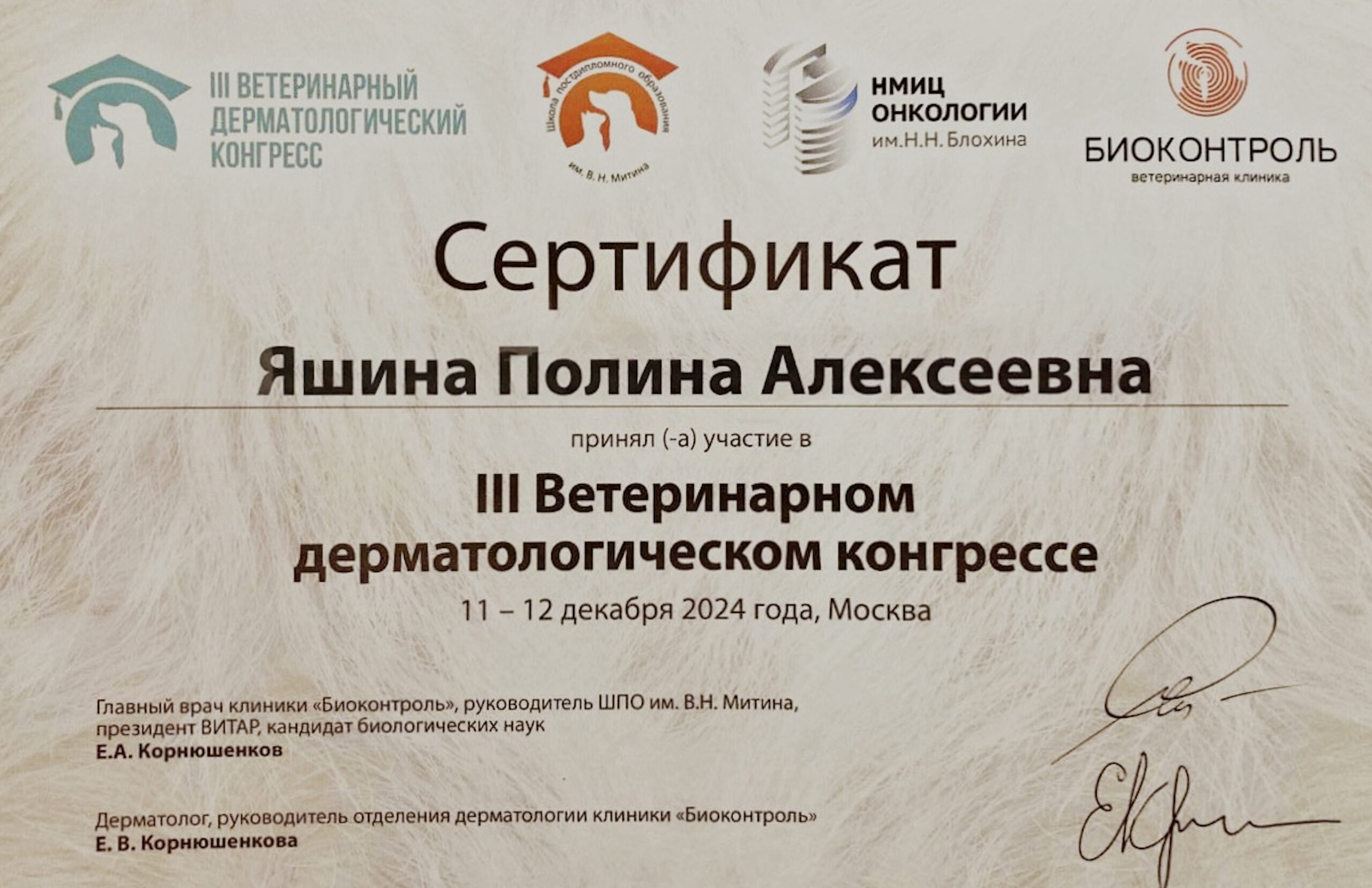 Документ или сертификат