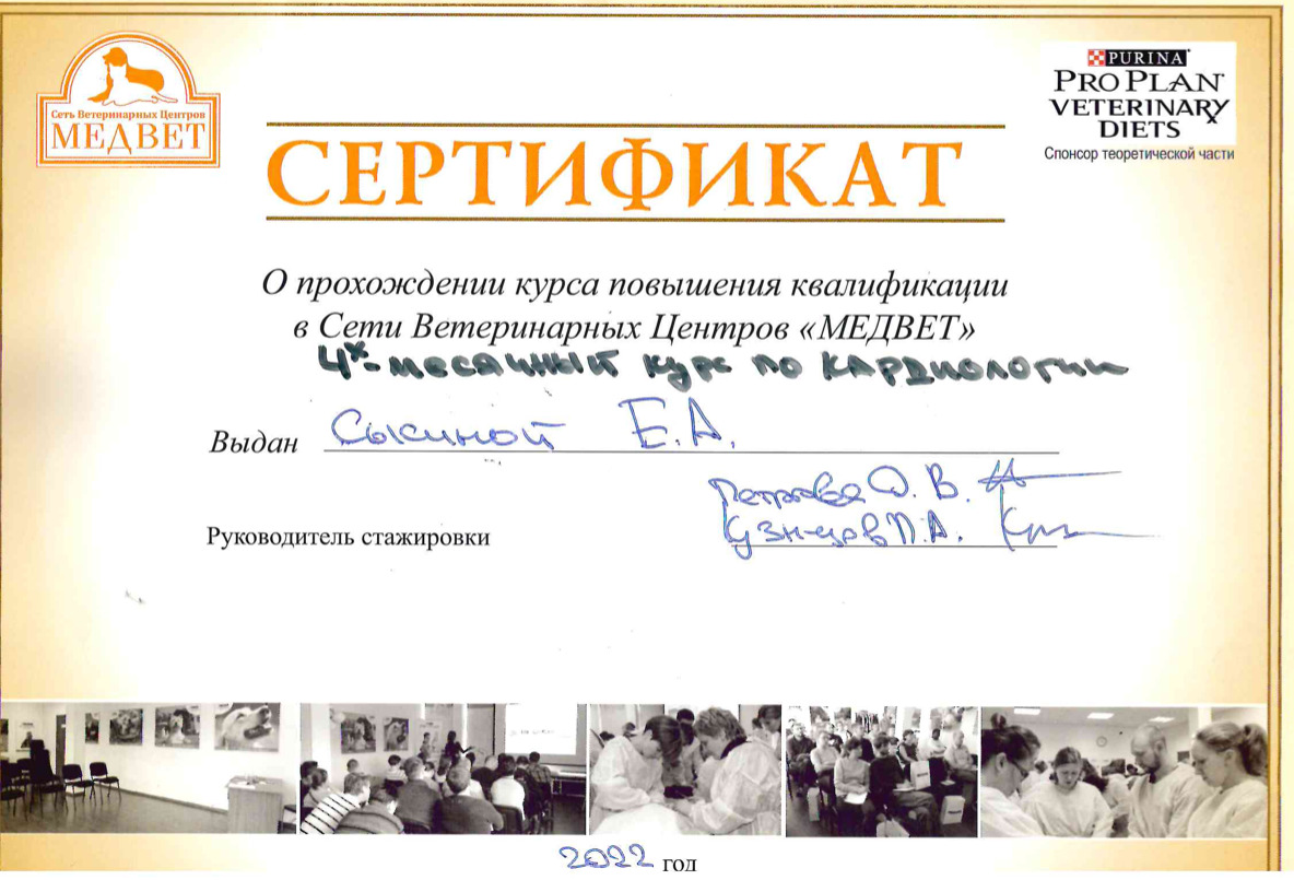Документ или сертификат