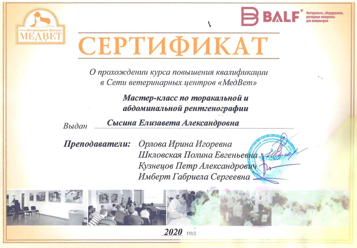 Документ или сертификат
