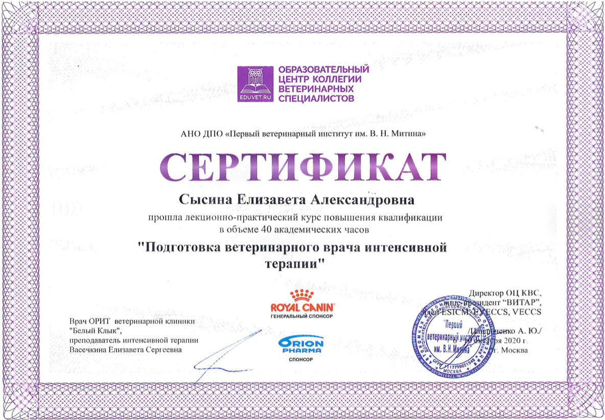Документ или сертификат