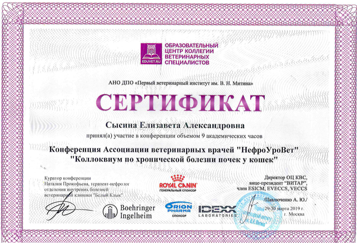 Документ или сертификат
